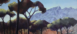 Table Mountain from Higgovale II | 2020 | Oil on Canvas | 45 x 62 cm